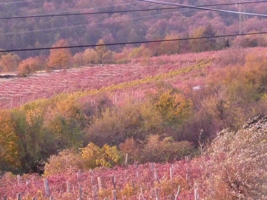 Rozina Vacation House Pliskovica Luaran gambar